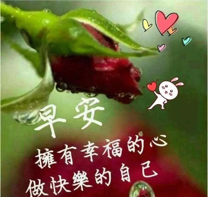 特漂亮的早上好鲜花带字美图,特暖心的早上好问候语录