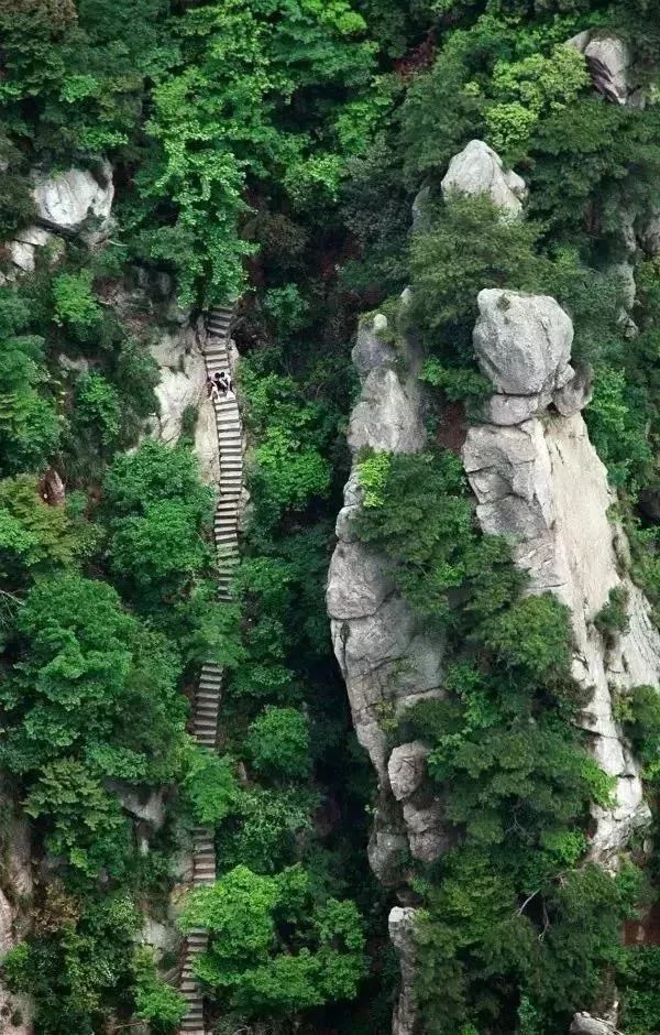 不但可以俯瞰景区的壮丽景色 还能近距离欣赏天柱峰 "渡仙桥",又名"试