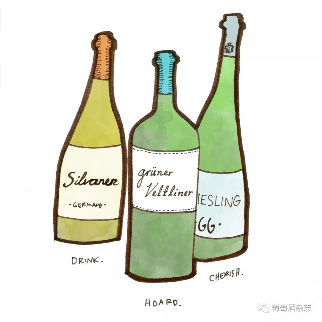 雷司令葡萄酒中的“汽油味”从哪来的？-搜狐大视野-搜狐新闻