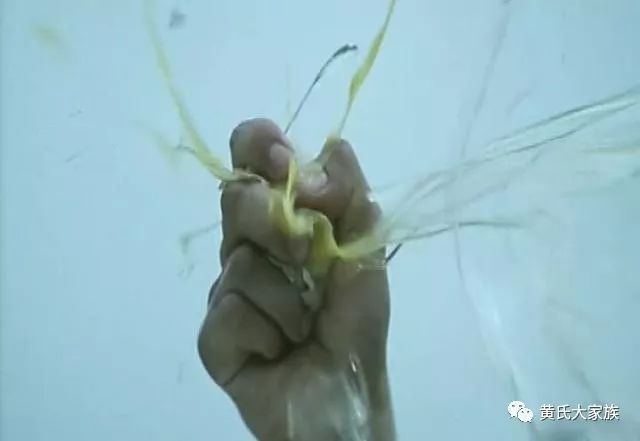 还记得他吗香港功夫片中的腿技大师黄正利