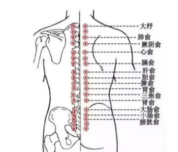                     宝宝背部捏脊每天做3到5次，消化好睡得香，宝宝不爱生病、更健康