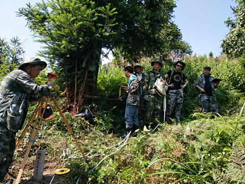 省林业二调督导组检查湘东区森林资源二类调查外业样地数据