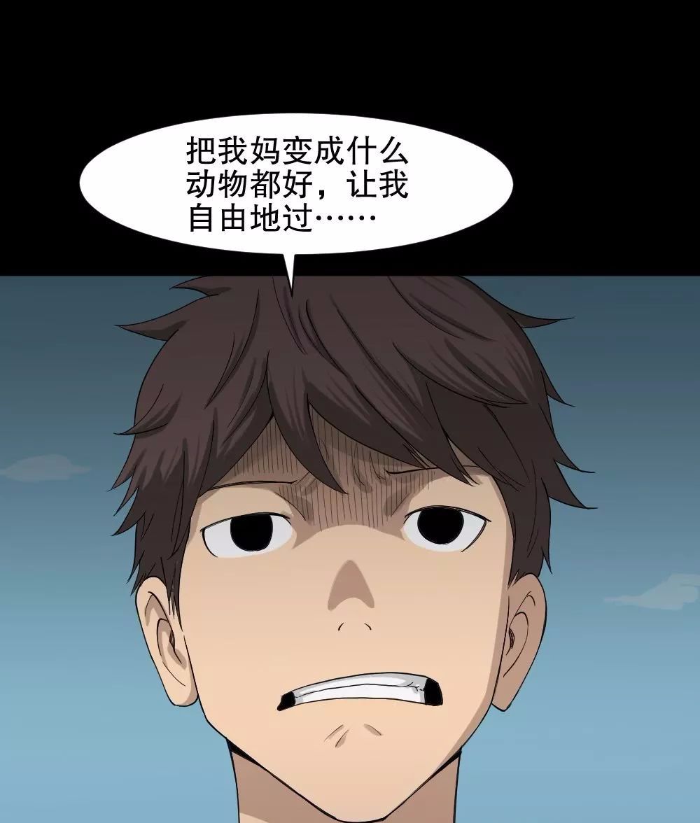 怪奇笔记之动物妈妈