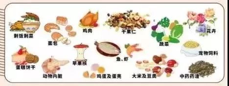 其余是干垃圾!