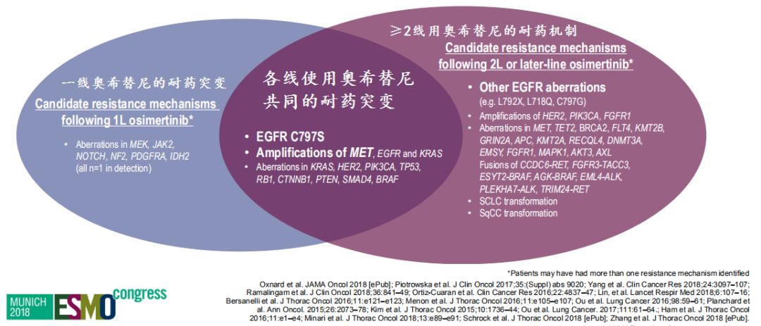 靶药耐药处理不只看代数,最终决定于基因检测结果!