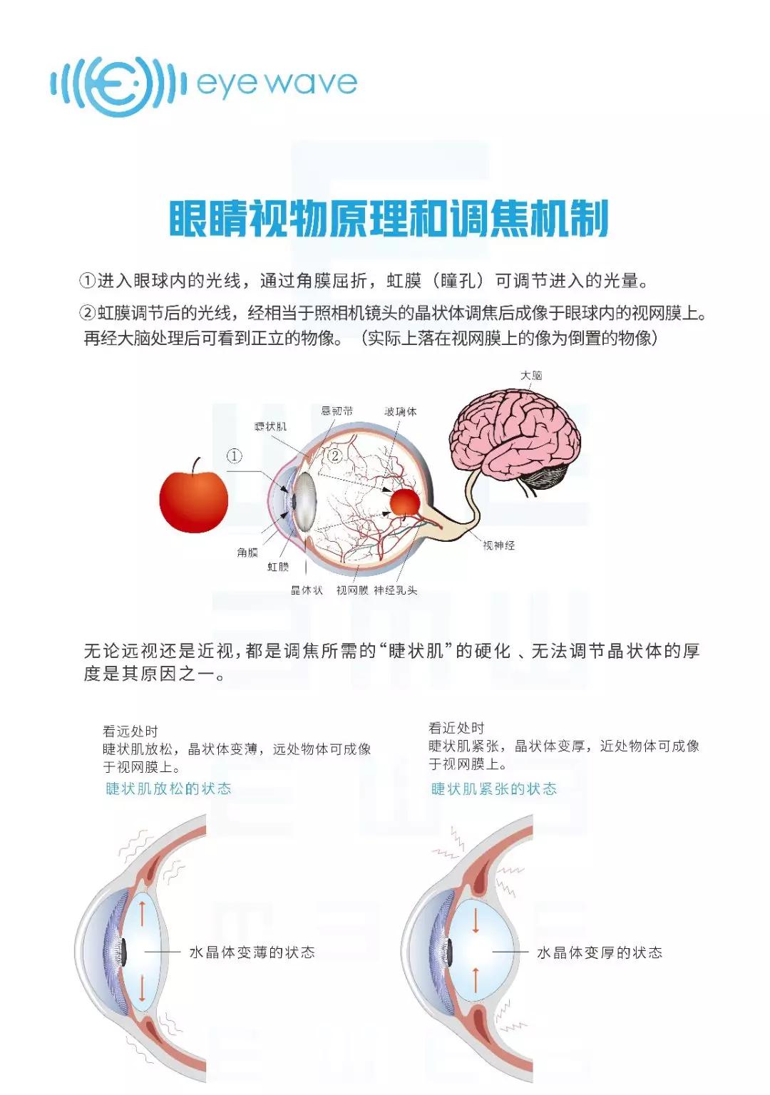 眼波科技:你不知道的眼保健操那些事