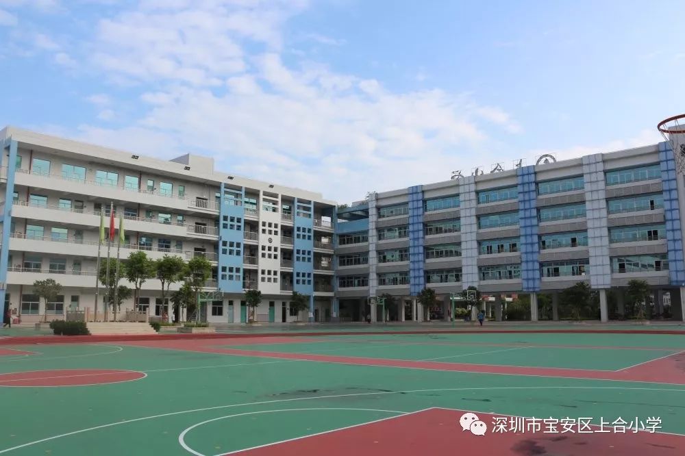 【荷园·入学指南】上合小学小一新生入学指南