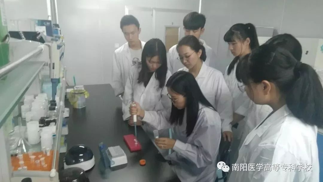 招生季 || 南阳医专药学系欢迎你!
