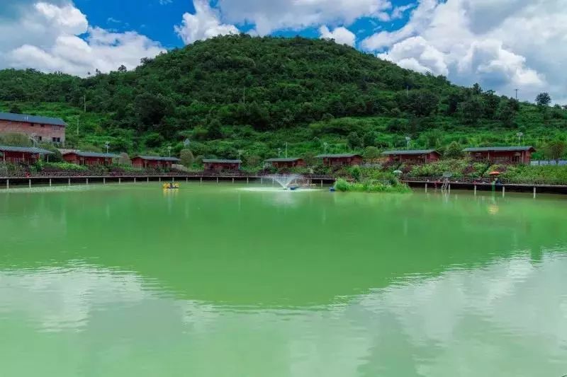 9元抢普定【秀水景区漂流】门票,露营,激情卡丁车场,跑马场,彩虹滑道
