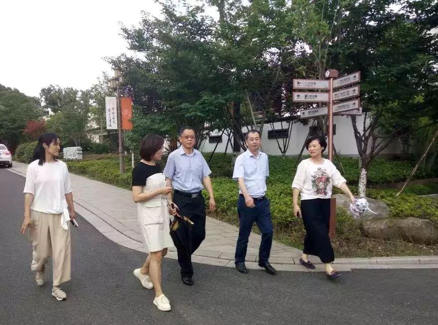 杭州市商务局领导考察指导湘湖步行街建设