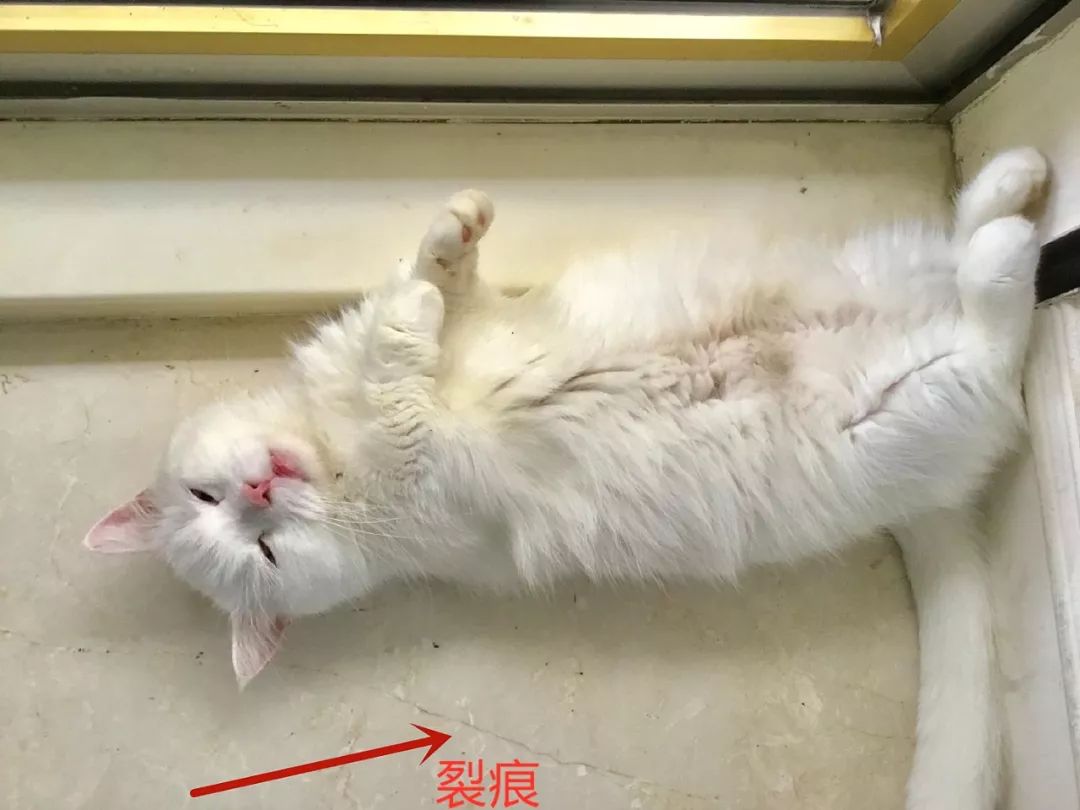 郭碧婷不给钱?郭爸鞋子家具都是坏的,生活水平