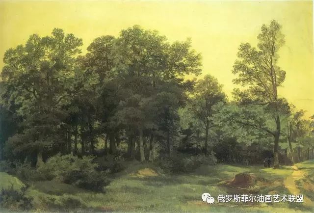 希施金最爱画密密松树林边繁茂的灌木和花草.