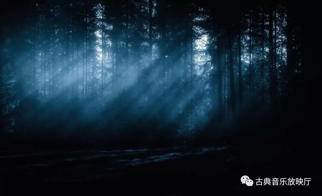 雅纳切克的钢琴小品集《在雾中》