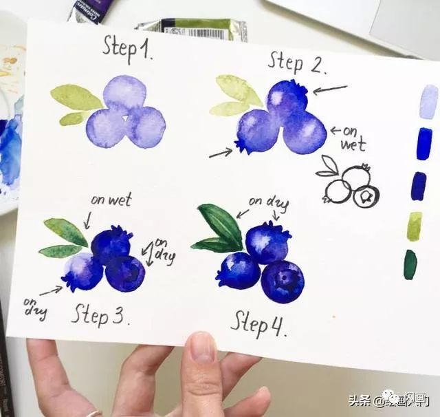 60个简单好画水彩画教程,夏日手账素材分解步骤