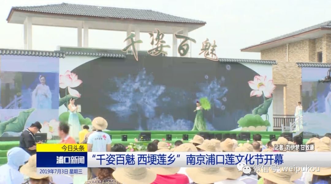 【微·浦口】千姿百魅 西埂莲乡南京浦口莲文