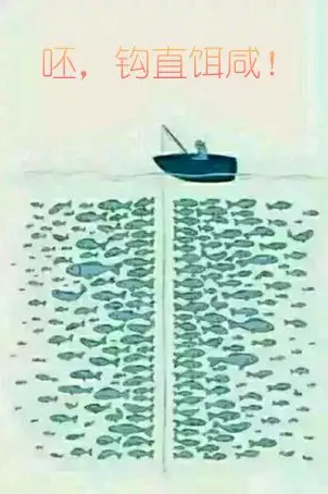 鱼的记忆到底有多久 34e44f2c156045ae97f370e3ac6d5eb0.png