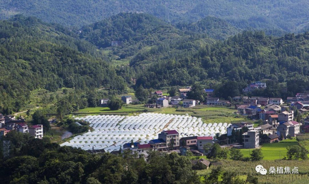 瑞塔铺镇,位于桑植县城东部8公里处,是红六军团指挥部所在地和红二,六