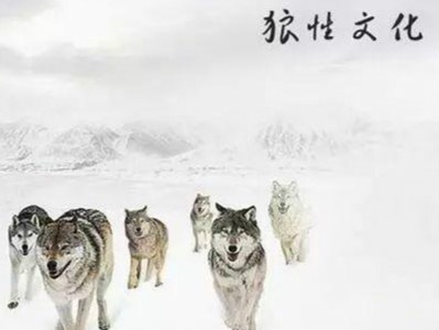 什么狼当什么成语(3)