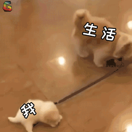                     孩子夏天一不小心就中暑，这些急救措施还不知道可怎么得了