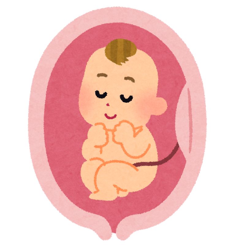                     宝宝出生后，脐带血需要保存吗？你真的了解脐带血吗？