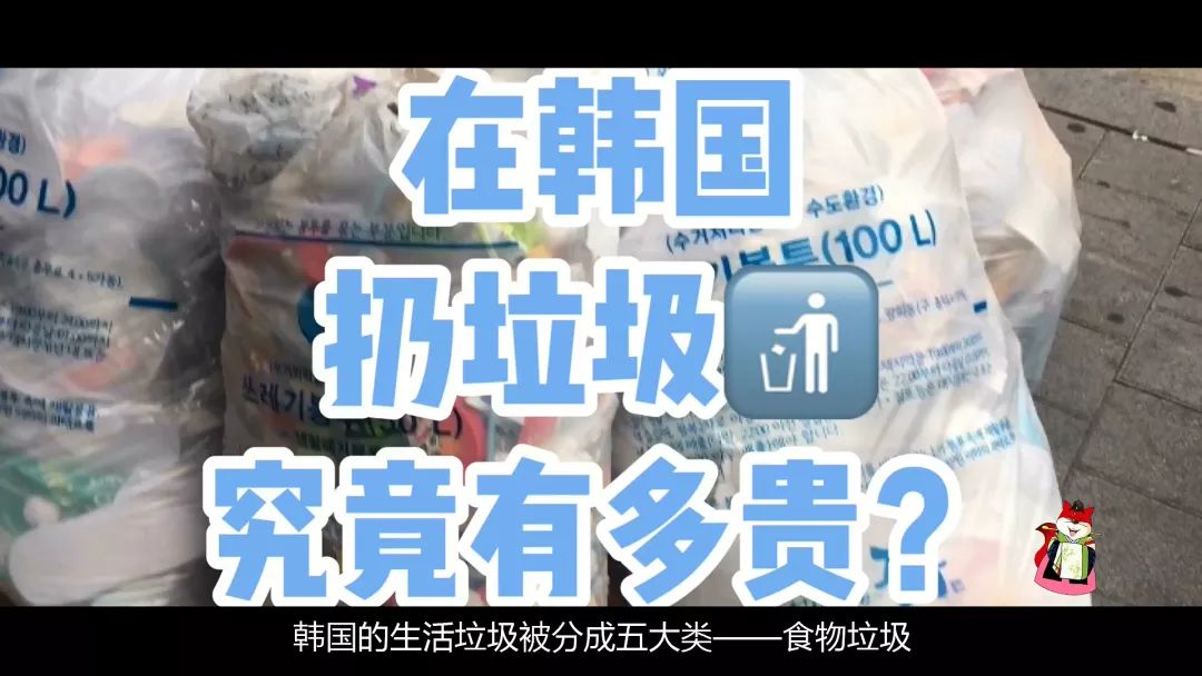 韩娱播报249期详解韩国垃圾分类那点事看完竟然想哭