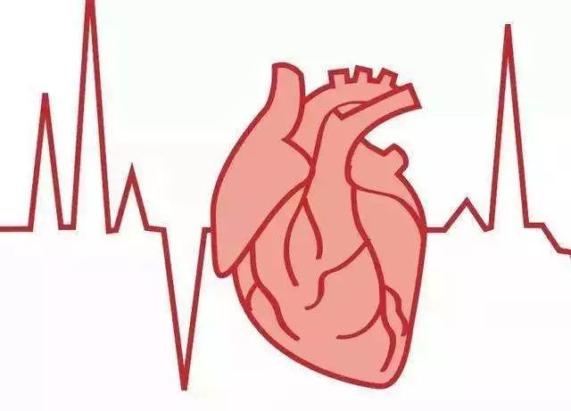 室上速   血友病 | 心跳200 是一种怎样的体验?