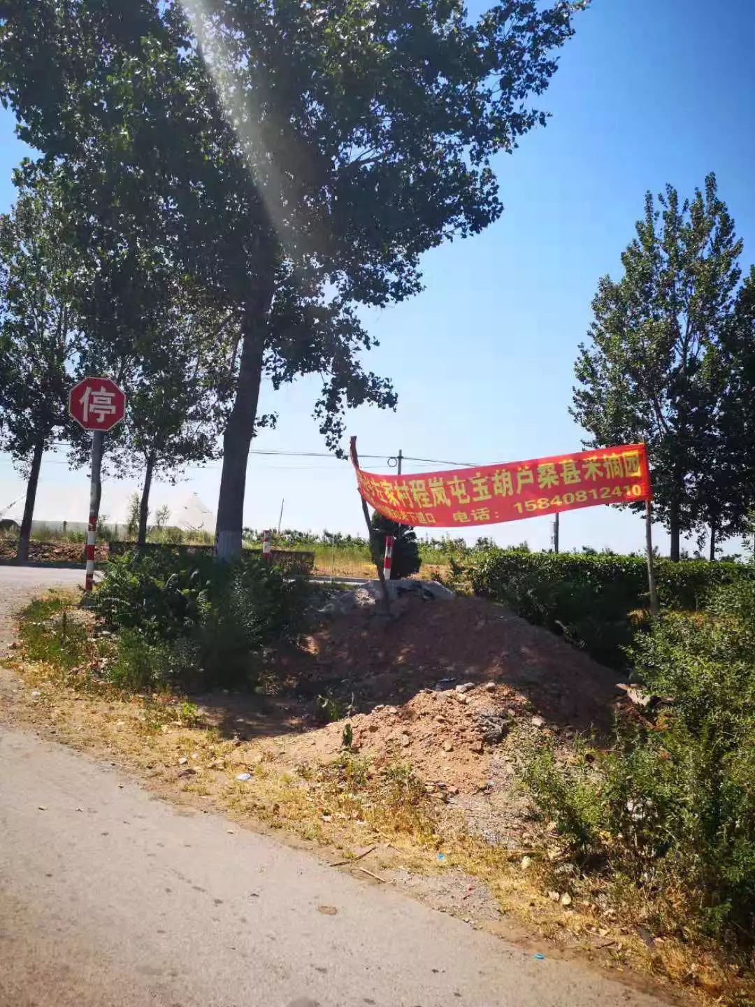 阎店乡人口