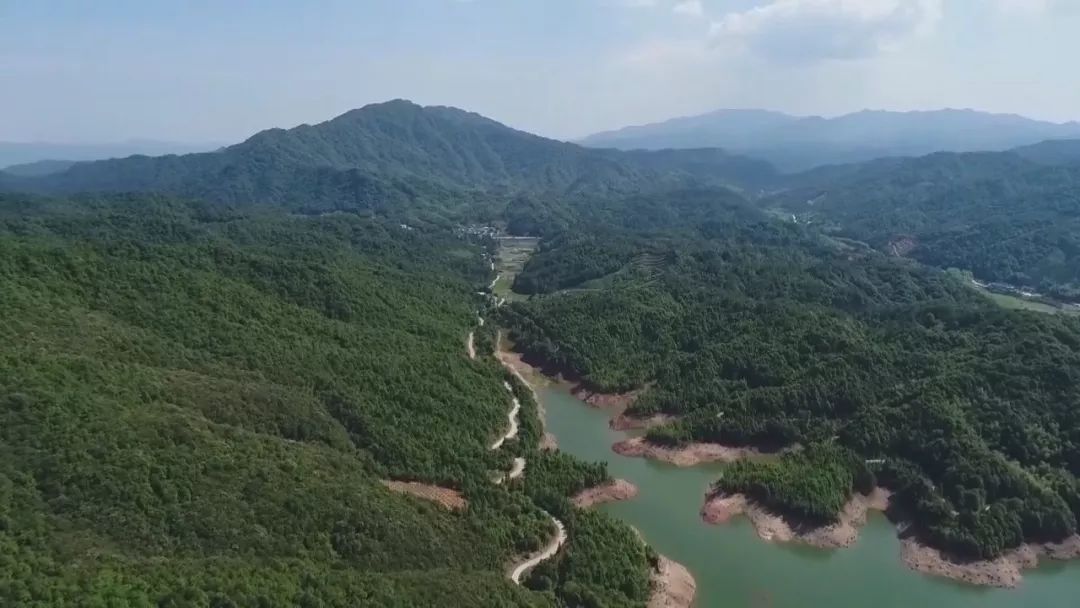 福建前五月经济总量_福建经济学校宿舍(3)