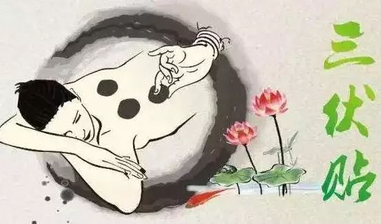 啥是三伏贴 62689e1f0eb04ea2bcf9d687cd3043b8.jpeg