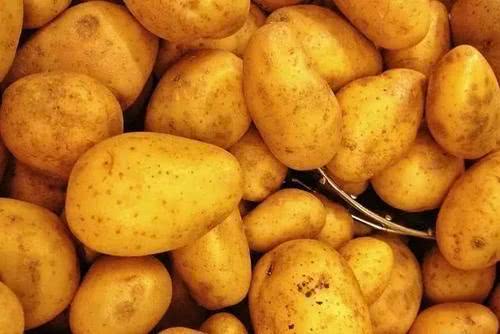 苹果怎么吃好一点 653046bb136f4e36ac3c7359535061d0.jpeg