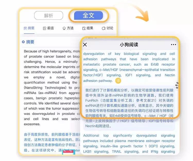 怎么正确的读文献 65dbcab9215a4f1cb9f536b20a8fc47b.jpeg
