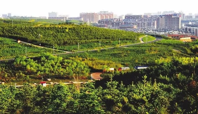 乌兰察布市经济总量_乌兰察布市(3)
