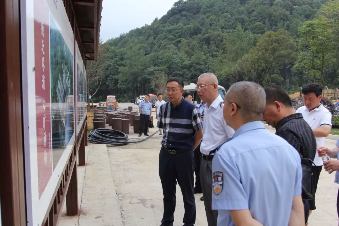 南川区领导王立一行调研良瑜国际养生谷项目