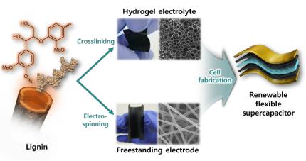 基于全木质素水凝胶电解质和纳米纤维电极的可再生柔性超级电容器