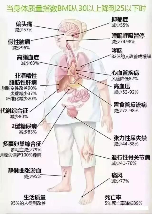 7d5ccc4e620f48d19b4f6fc1bb74d102.jpeg