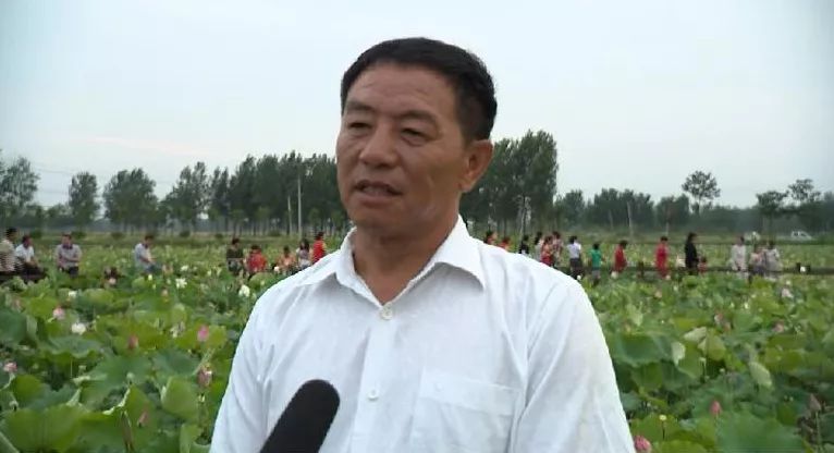 组图|涡阳曹市“红色辉山”荷塘景色美 旅游好去处