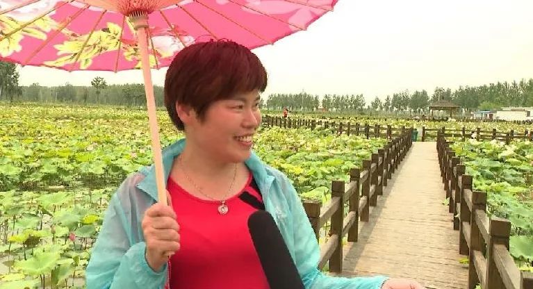 组图|涡阳曹市“红色辉山”荷塘景色美 旅游好去处