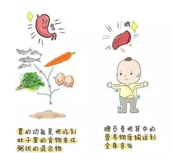 孩子的脾胃先天弱到什么程度呢?