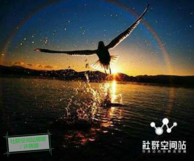 94d911c170c94f10a33f5dae65849019.jpeg