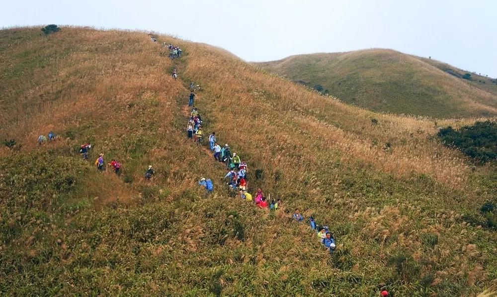 最新活动惠州大南山一日直穿徒步活动行走山脊之上穿越高山草甸