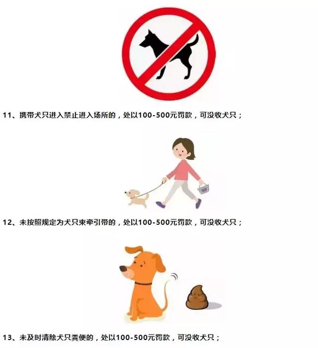 98f82f2a8d9c46c88a02aa023899c282.jpeg