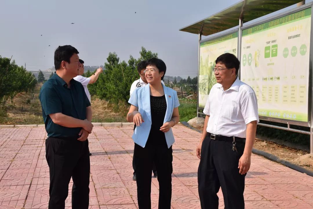 随后,在桃园镇政府会议室举行了九三学社泰安市委肥城桃科技服务站