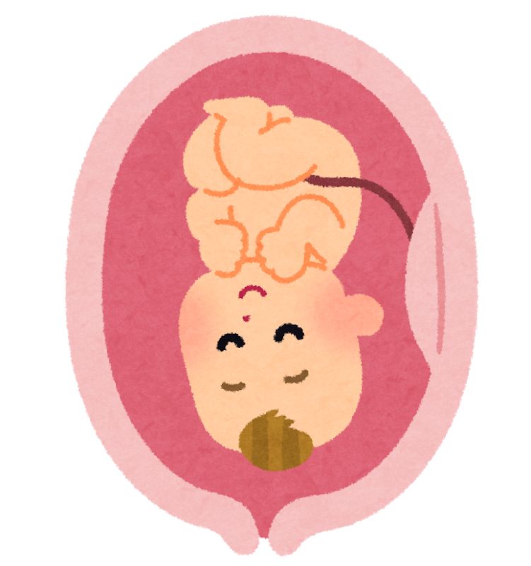                     宝宝出生后，脐带血需要保存吗？你真的了解脐带血吗？
