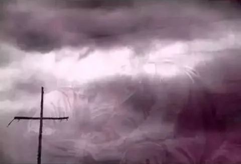 英文圣经:你是谁? 我就是你所迫害的那一位。