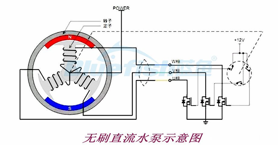 无刷直流水泵构成及工作原理详解_电机