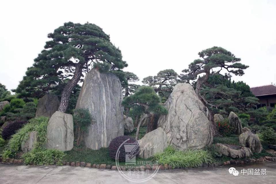 (香港)南莲园池园林景观作品:长隆酒店盆景艺术松石轩负责人张耀松(右