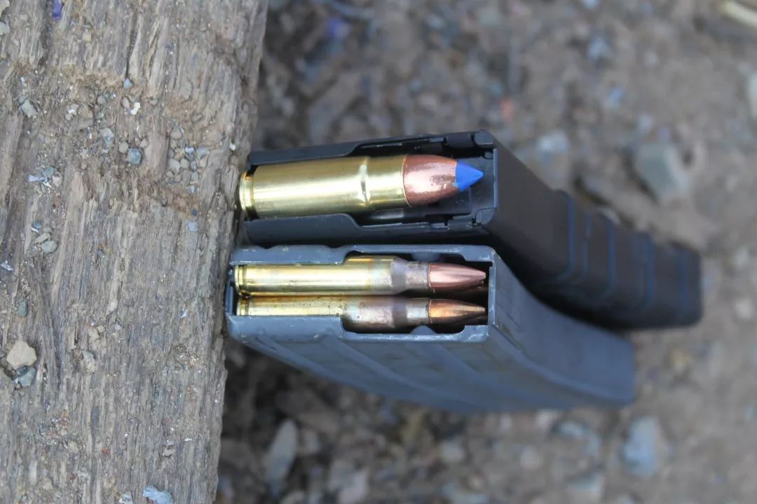 使用相同子弹的温彻斯特麦格农(winchester magnum),在北美被用于猎杀