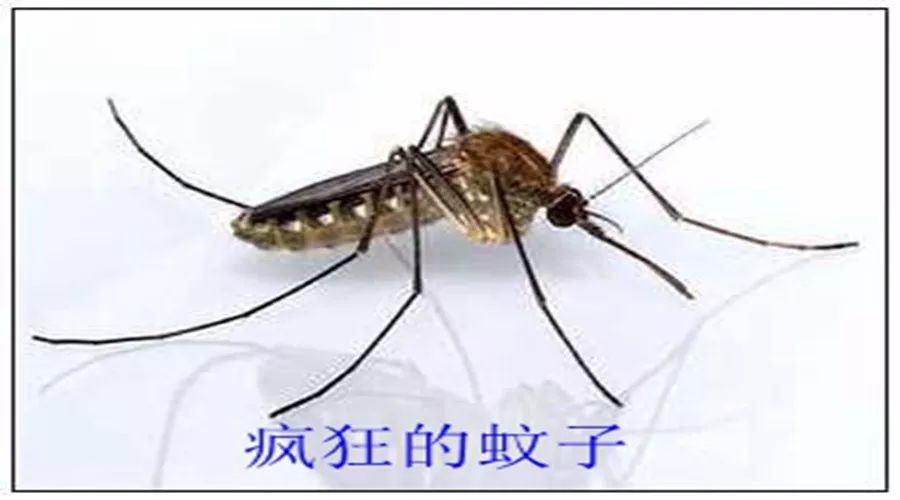 ae7974ead6d34757b815016597fdebf4.jpeg