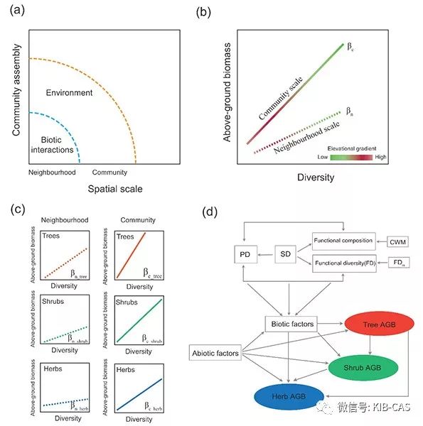 动物拜月的原理_资料分享 高考生物必考16 个实验原理大解析, 好资料一份就够了(3)