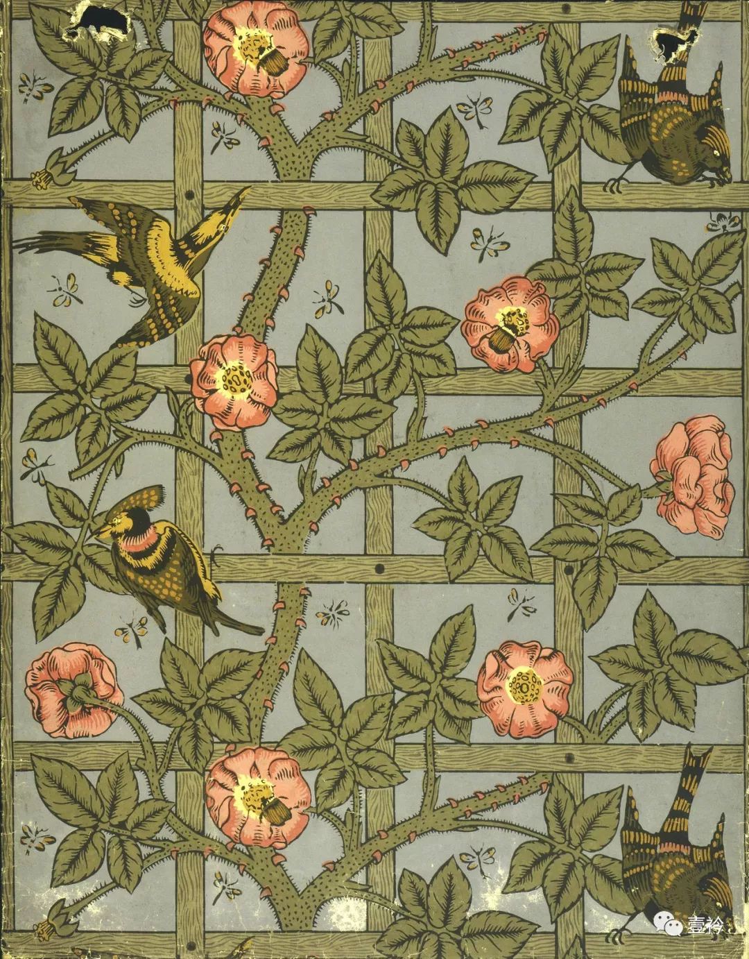 19世纪工艺美术运动创始人 | "植物印花设计大师"william morris